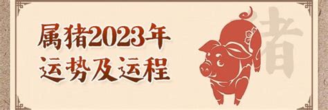 1995属猪2024年运程|1995年属猪人2024年运势及运程女，95年29岁生肖。